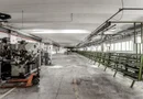 4.049 mp Hale industriale în Arad, aproape de A1
