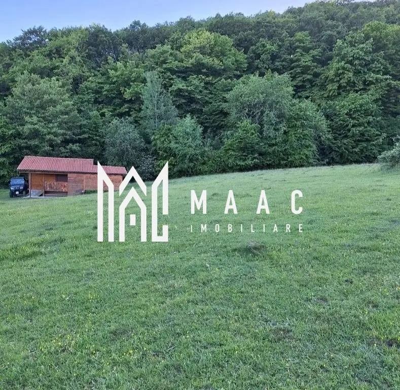 Teren extravilan 17.500 mp | Apoldu de Sus | cabană 46 mp