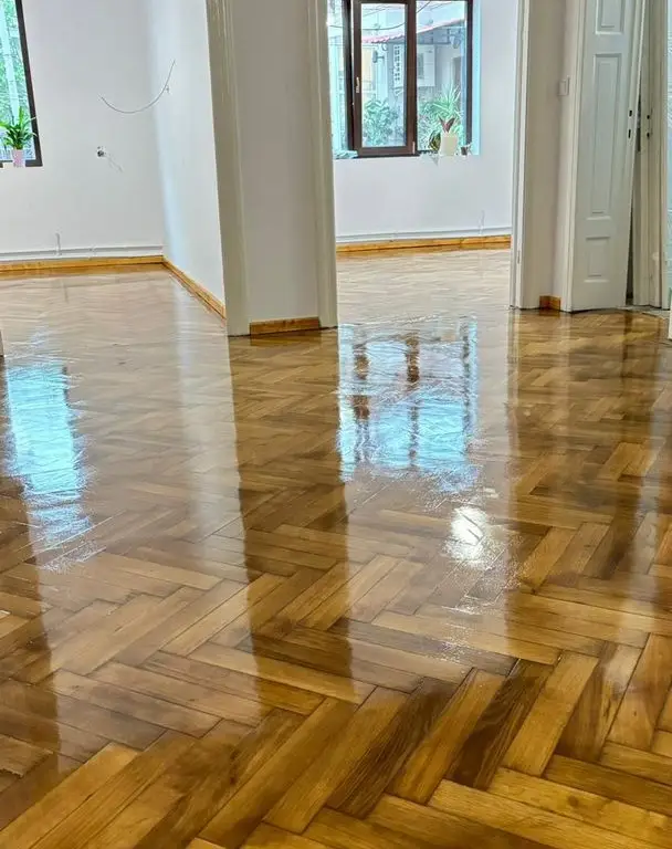 Ag BRASADAS vinde vila 8 camere Parcul Carol