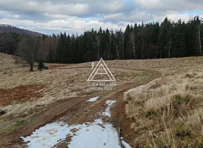 19.5 Hectare în Zona Turistică Montană – Bulz, Bihor