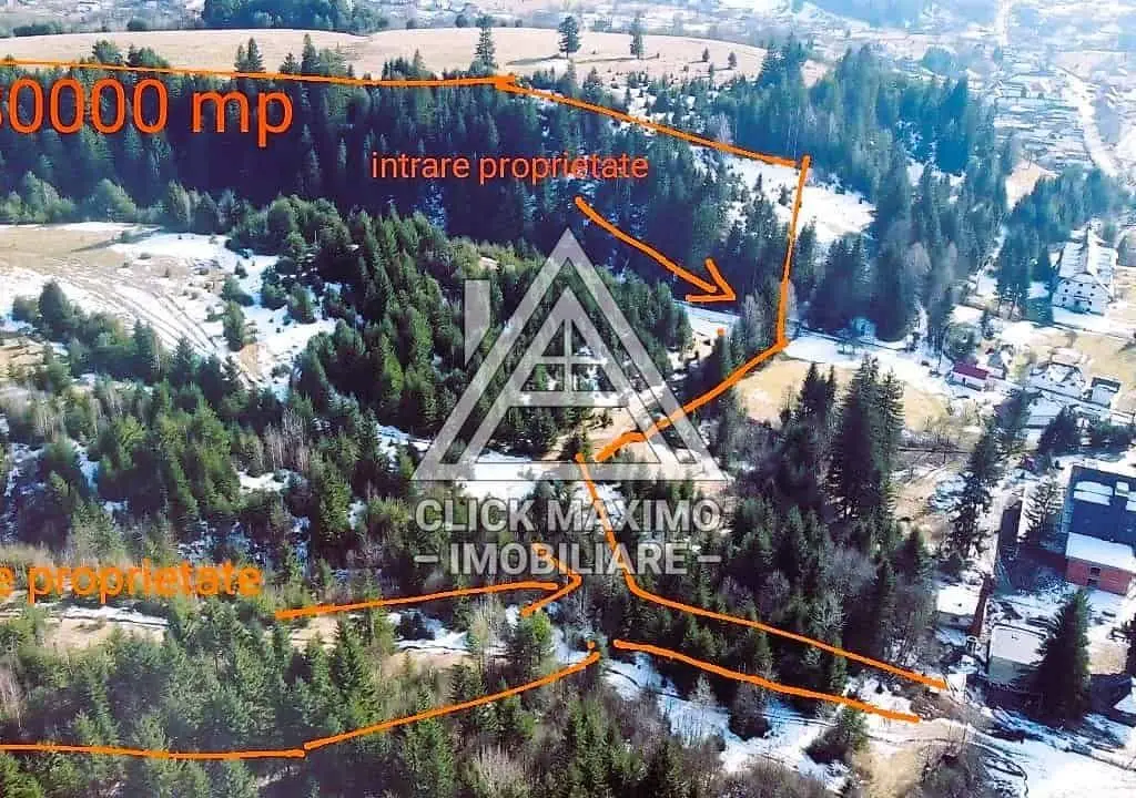 Teren 8 ha cu 15 izvoare minerale, lângă Câmpulung Argeș