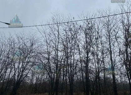 Teren intravilan Drumul Fermei