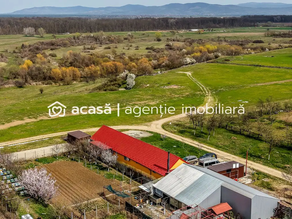 PREȚ AJUSTAT | Casa din lunca Mureșului: intimitate 100%