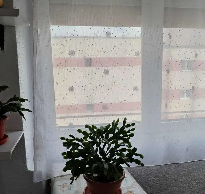 Apartament de vânzare Alba Iulia