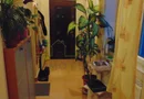Centrala termica Proprie. Mobilat si utilat.
