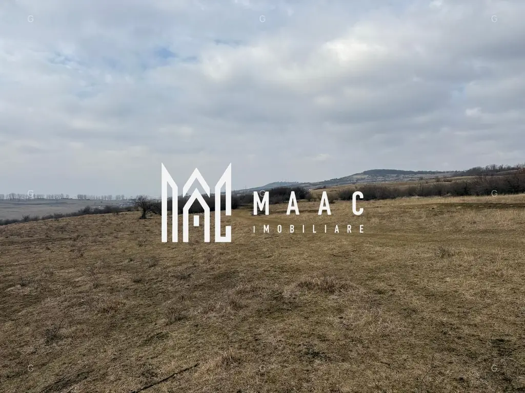 Teren 6,75 ha | Panoramă și Acces Excelent | Dealul Daii