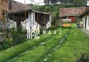 Casă individuală I Rustic I 100 mpu I Curte 2000 mp I Nemșa