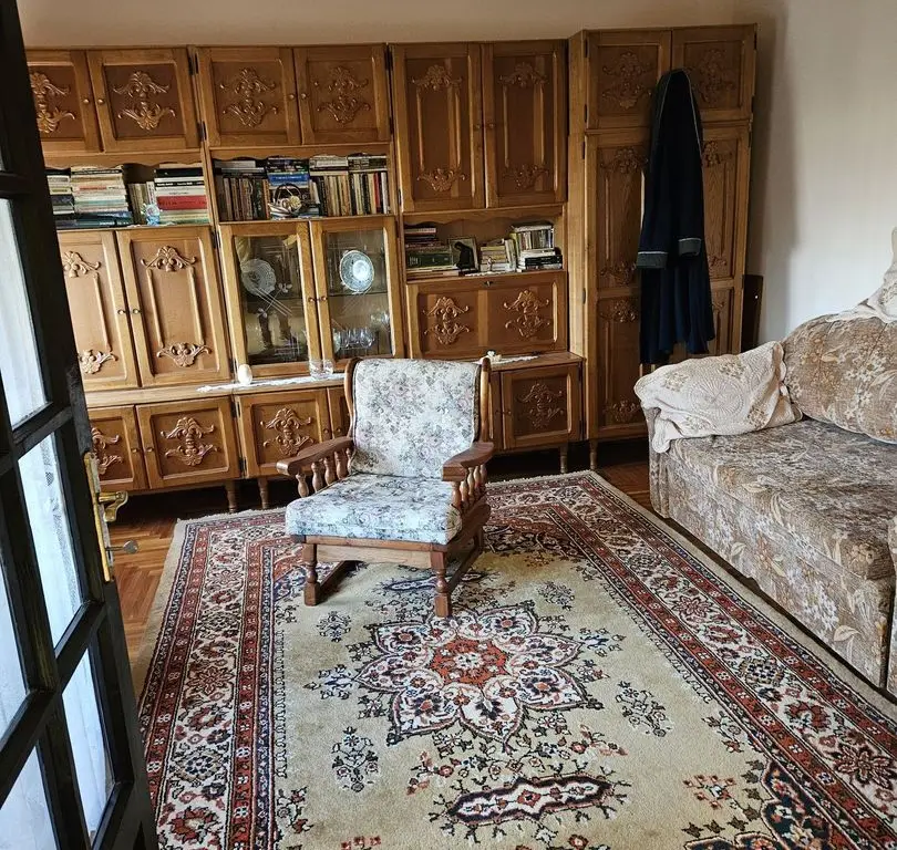 Casă 2 familii / firmă + livadă Satu Mare - Cionchești