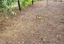 Casă de vânzare