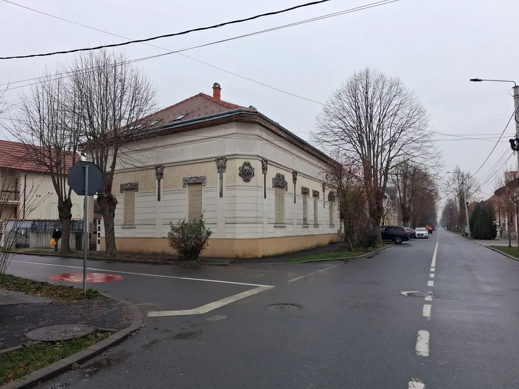 BRASADAS vinde prin REPREZENTARE EXCLUSIVA cladire Titulescu