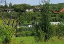 Teren Intravilan | 1500 MPU | Tocile, Comuna Sadu