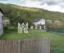 Teren Intravilan 10.000 mp | Livadă + Pădure de salcâm | Bărbătești