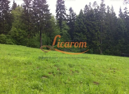 Teren intravilan Cotul Donului,pretabil Hotel/pensiune.