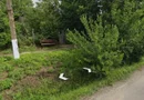 Teren intravilan Gogoșari, 2.580 mp