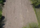 Teren de vanzare in comuna Daia,jud Giurgiu