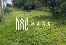 Casă individuală | 1.075 mp teren | 80 mp utili | Investiție | Zona Turnișor