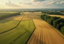 Platforma agro-industriala integrata–aproape 2.000 ha teren cultivabil