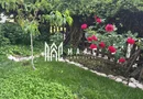 Apartament 3 camere | Gradina | Parcare | Renovat | Selimbar