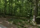 Teren extravilan, livada, Lăzăreni. 22 500 E. Comision 0