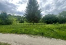 Teren Intravilan – 2.700 mp | Valea Avrigului | Zonă turistică deoseb
