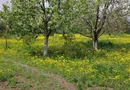 Teren 2.600 mp, utilități, Str. Merișor – Giurgiu