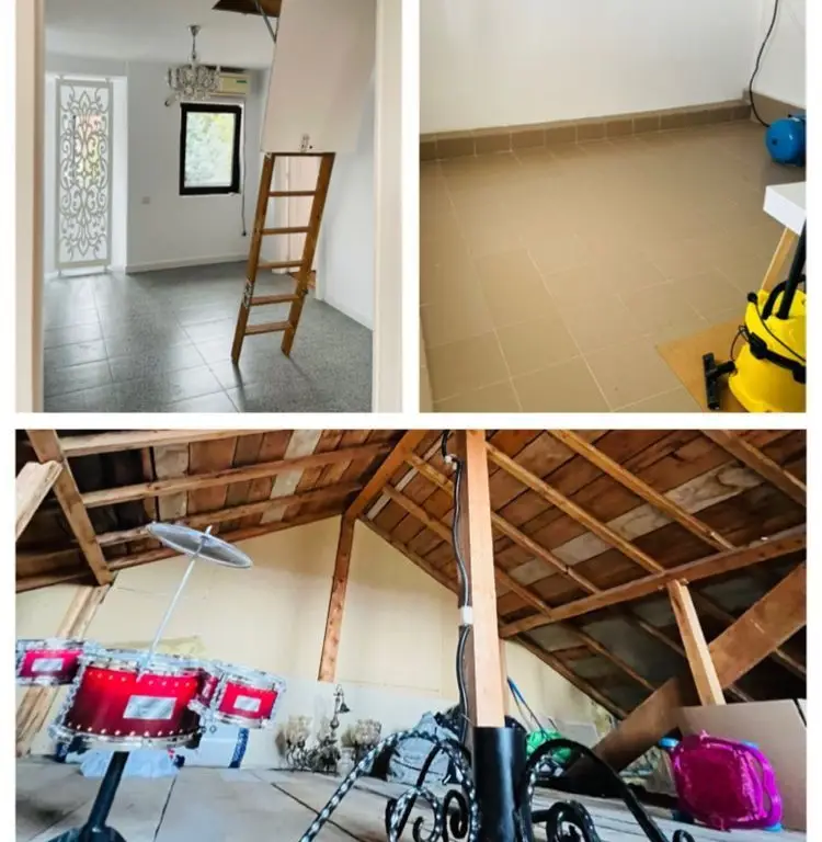 Vila Plopii fara sot, Bucium - Proprietar