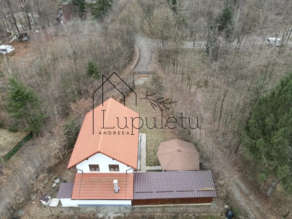 Casa de Vacanta | 120 MPU | Valea Avrigului