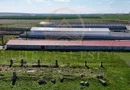 Tariverde - Ferma zootehnica functionala, 3 hectare teren intravilan!