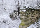 Teren de vanzare I izvor apă minerală  Dangești I 2 Hectare