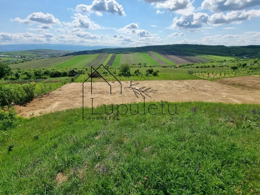 Teren Extravilan de Vânzare – 2.500 mp | Hamba | Zonă în Dezvoltare
