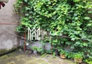 Casa Individuala | Ultracentral | Acces auto | Pivnita