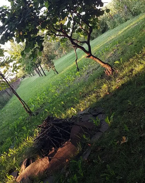 BRASADAS vinde casa individuala in zona Aurel Vlaicu.