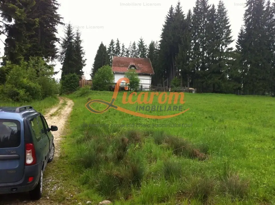 Teren intravilan Cotul Donului,pretabil Hotel/pensiune.