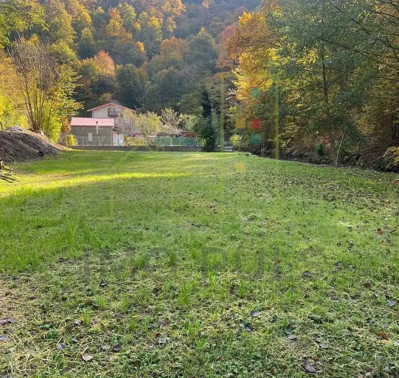Proprietar. Vand teren. Paraul Runcu este limita de proprietate. Drum asfaltat