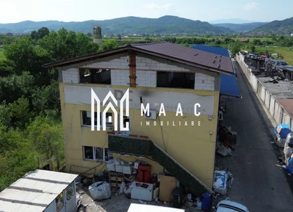Hala 1330 MP| Raureni | Spatiu depozitare