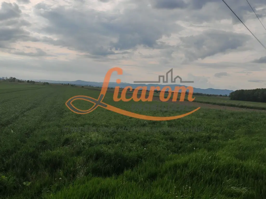 Teren Stupini Calea Feldioarei 4600 mp,21 euro/mp, front asfalt-DN13