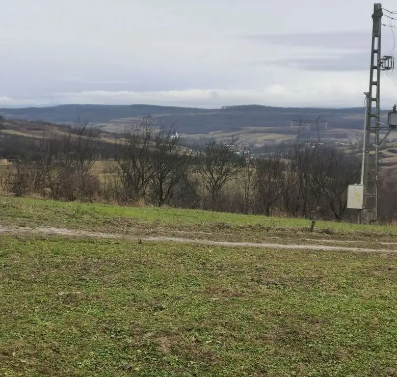 Teren cu o priveliste superba langa padure