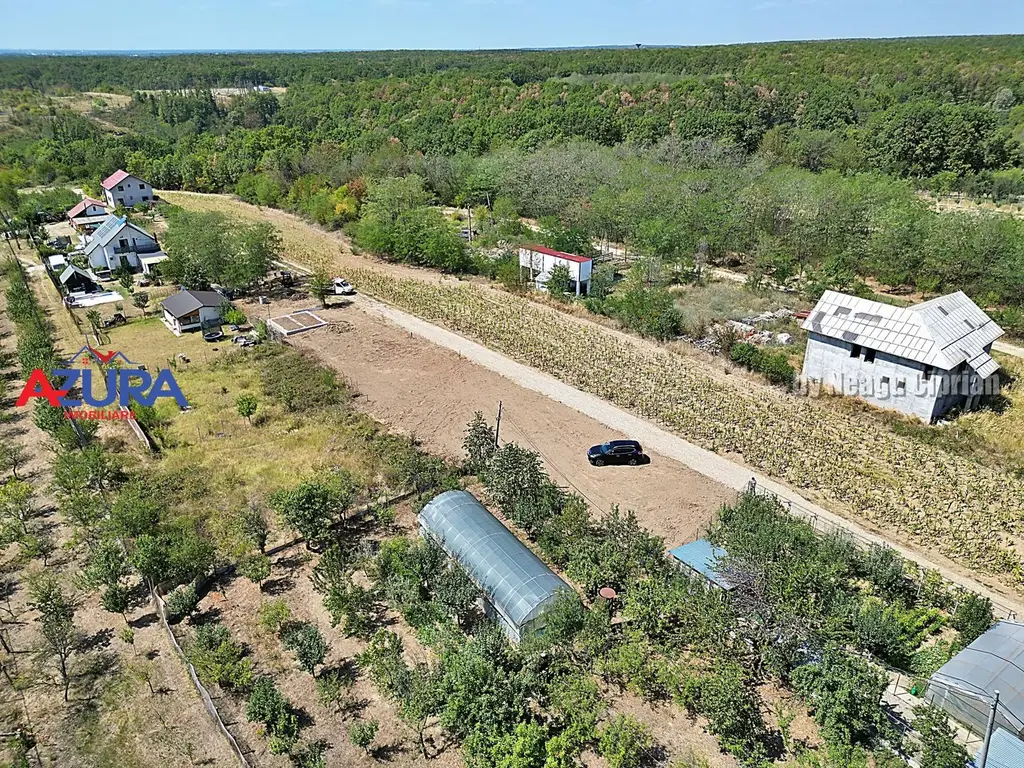 AZURA Imobiliare - Teren Mosoaia Dealul Viilor langa Padure