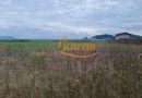 De vanzare teren 502 mp Harman Aleea 14 pret 40000 euro