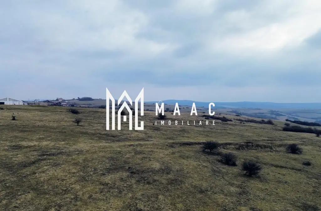 Teren 6,75 ha | Panoramă și Acces Excelent | Dealul Daii