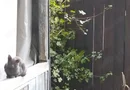 Casă Tătărași excepțional situată!