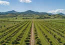 FERMĂ AGRICOLĂ PREMIUM 300 HA – INVESTIȚIE STRATEGICĂ ÎN TRANSILVANIA