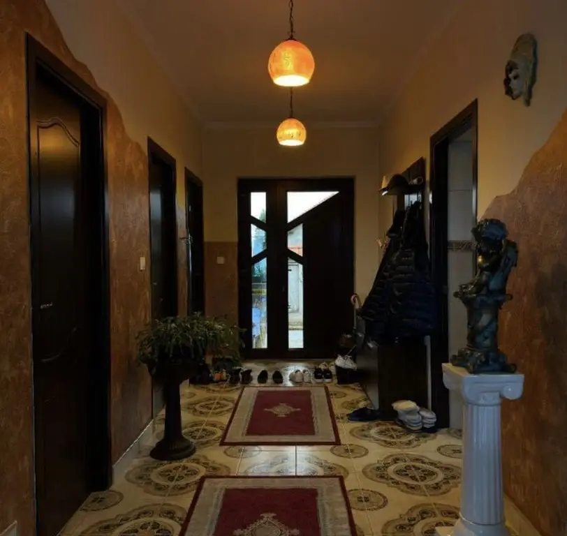 Casa de vanzare P+1, 4 Garaje, Vetis