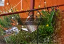 Locuință, Casă de Vacanță sau Business | 1.582 mp teren | Feleacu