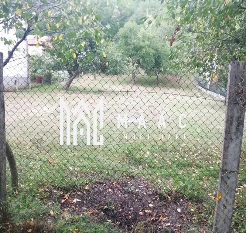 Teren Intravilan 10.000 mp | Livadă + Pădure de salcâm | Bărbătești
