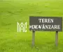 Teren Extravilan 20.000Mp I Stoenești -Vâlcea I Apă Curentă și Pădure