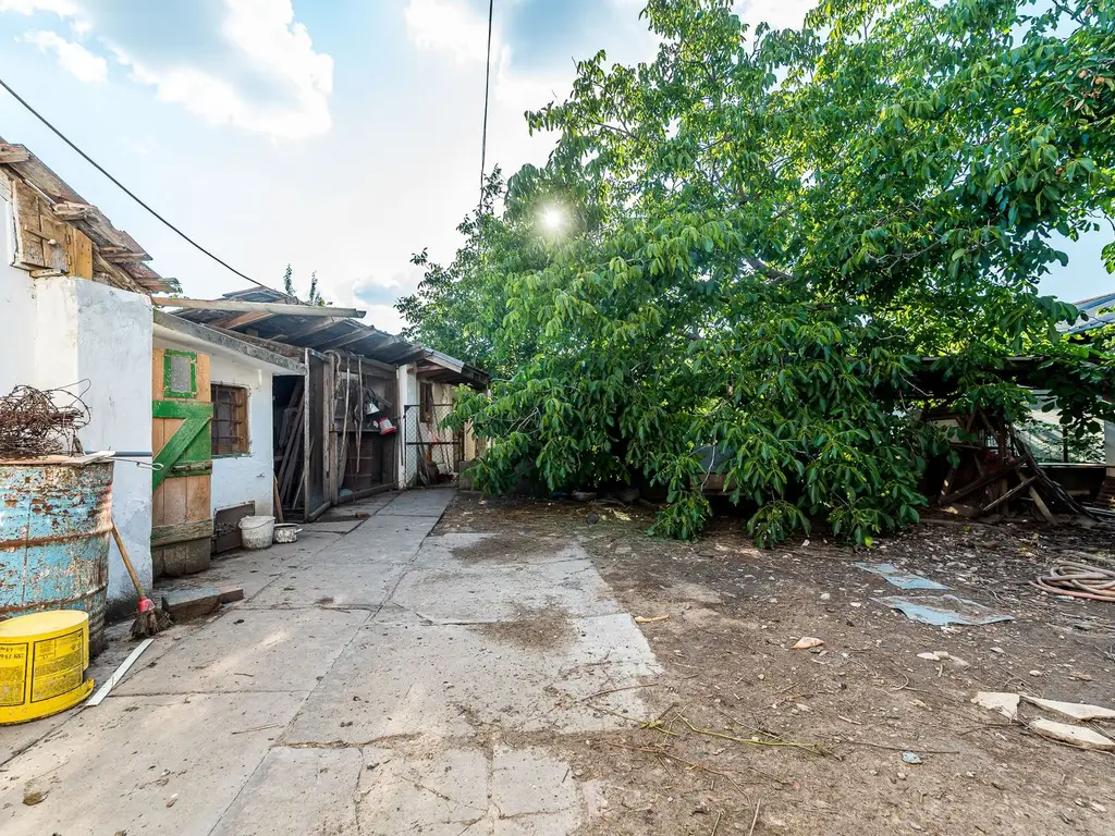 🏡 Casă nemțească autentică în Frumușeni – Fântânele, la 20 km de Arad