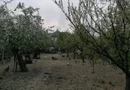 Ag EUROPA vinde casa 6 cam teren 11 ari în zona 14 Mai.
