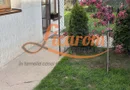 Proprietate saseasca cu 2 corpuri de casa, Comuna Vulcan,Brasov.