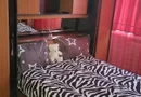 De inchiriez apartament mobilat doua camere in Tiglina 2, 420 E